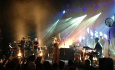 bonobo-WARFIELD-1